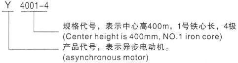 西安泰富西玛Y系列(H355-1000)高压YJTFKK6302-8三相异步电机型号说明