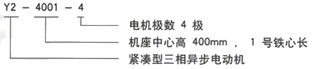 YR系列(H355-1000)高压YJTFKK6302-8三相异步电机西安西玛电机型号说明