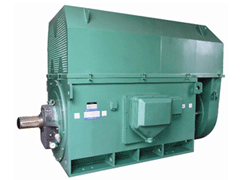 YJTFKK6302-8Y系列6KV高压电机